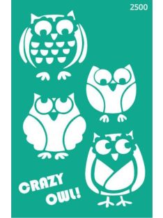 Ismételhető öntapadós sablon 13x20cm – 2500