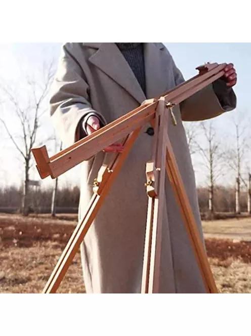 Pleinair beech easel Meeden 6077 with case