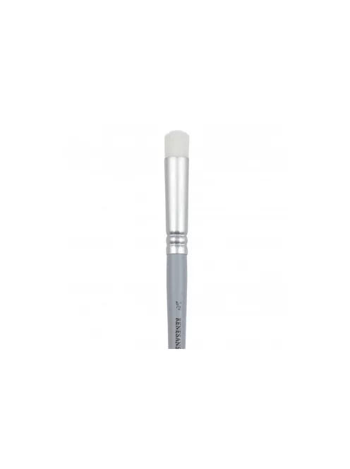 Cleaning brush 1530s  2/4