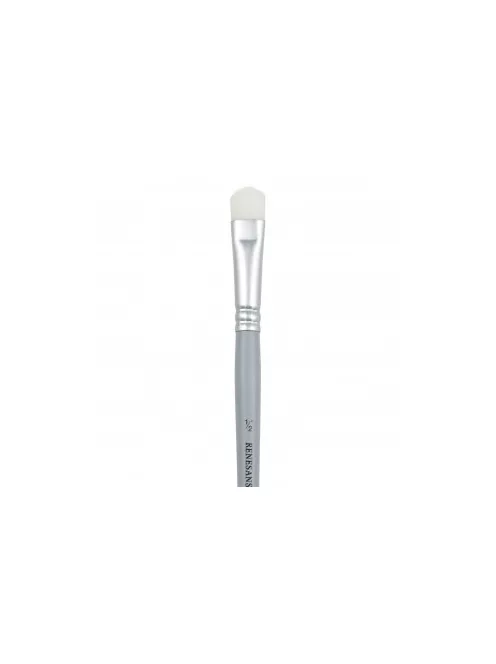 Cleaning brush 1550s  2/4