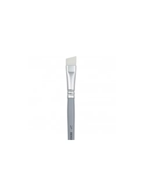 Cleaning brush 1560s  2/4