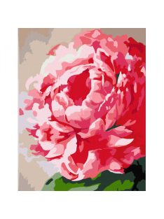 Fesd számok szerint Rózsa – 652 virág