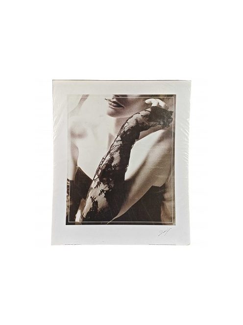 Reprodukciós festmény 50x60cm – D. A. Woisard, The Mitten