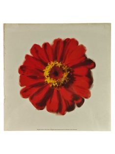 Nyomat 30x30cm – Petales Rouges II