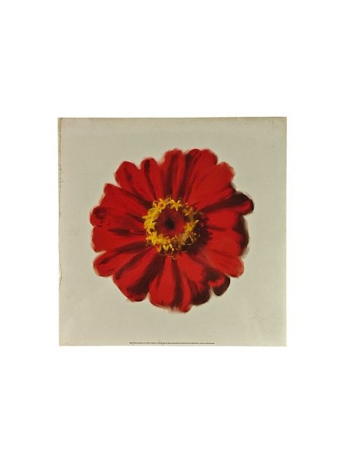 Nyomat 30x30cm – Petales Rouges II