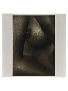 Nyomat reprodukció 29.5x29.5cm – Beauty in the Detail