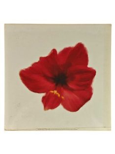 Reprodukciós nyomat 30x30cm – Petales Rouges I