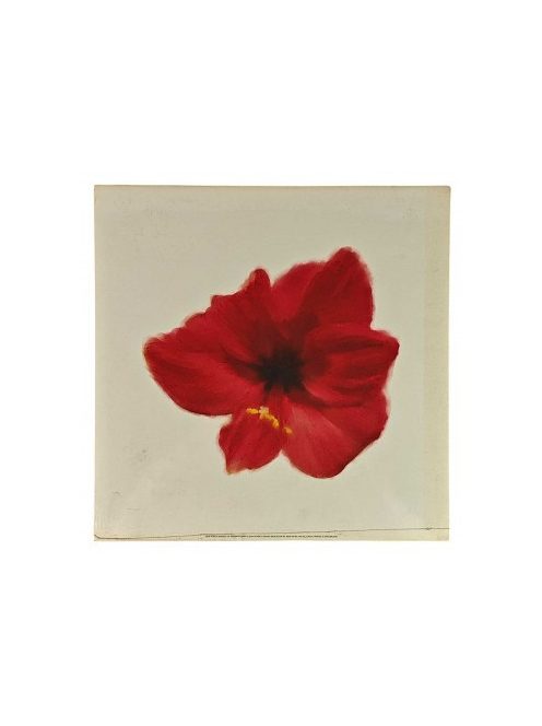 Reprodukciós nyomat 30x30cm – Petales Rouges I