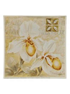 Reprodukciós nyomat 18x18cm – Orchid I