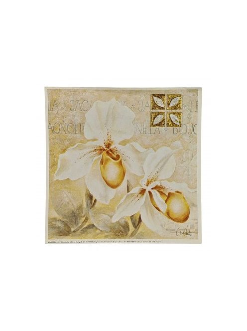 Reprodukciós nyomat 18x18cm – Orchid I