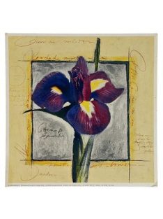 Reprodukciós nyomat 18x18cm – The Pride