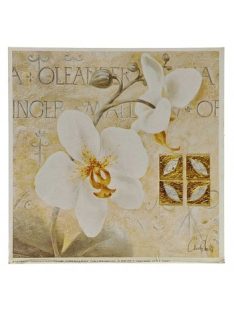 Reprodukciós nyomat 18x18cm – Orchid II