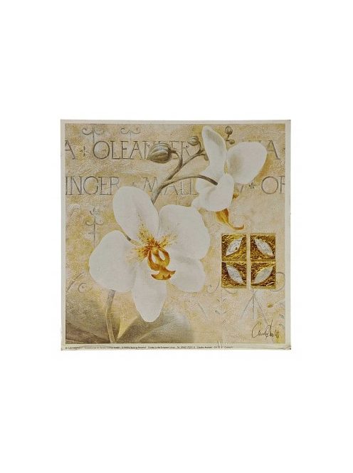 Reprodukciós nyomat 18x18cm – Orchid II