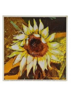 Reprodukciós nyomat 18x18cm – Come with the Wind