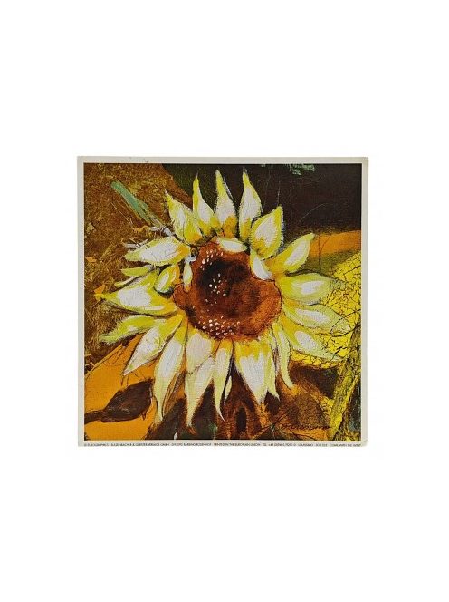 Reprodukciós nyomat 18x18cm – Come with the Wind