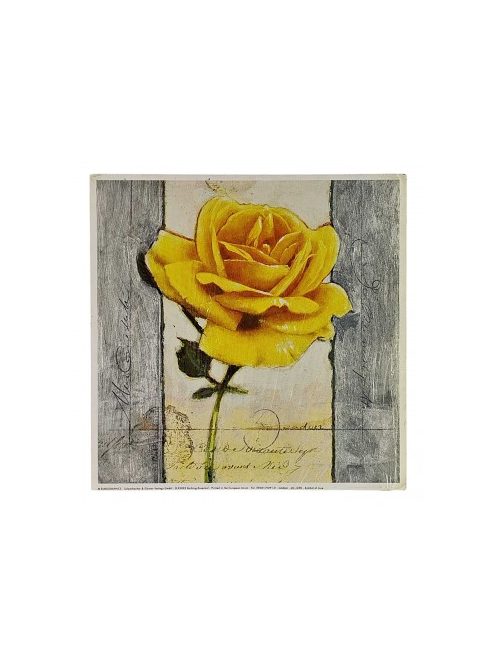 Reprodukciós nyomat 18x18cm – Symbol of Love