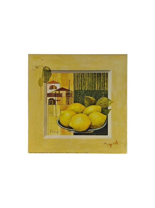 Reprodukciós nyomat 30x30cm – Citrus Field