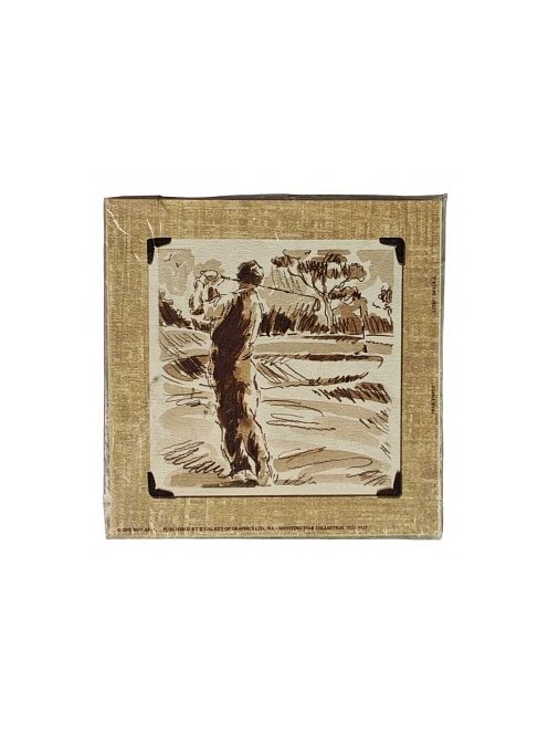 Képreprodukció 15x15cm – Shooting Star Collection