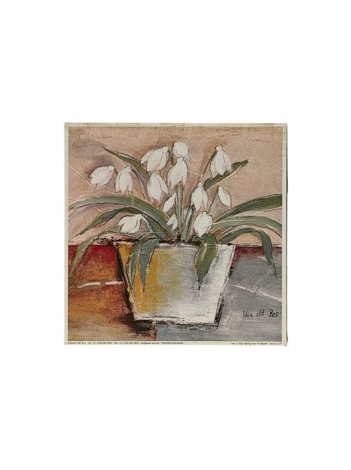 Reprodukciós kép 18x18cm – Spring Time IV