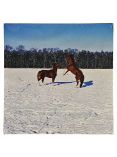 Reprodukció nyomat 28x28cm – Horses