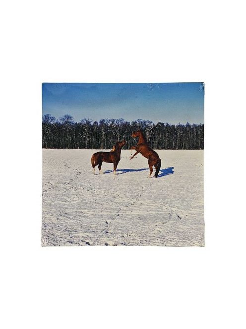 Reprodukció nyomat 28x28cm – Horses