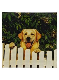 Reprodukció nyomat 28x28cm – Dog