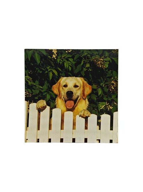 Reprodukció nyomat 28x28cm – Dog