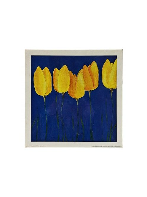 Reprodukció nyomat 25x25cm – Yellow Tulips