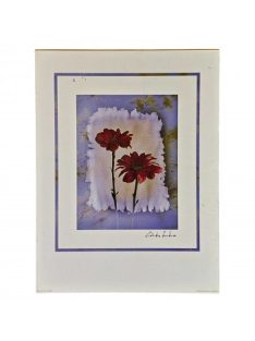 Reprodukció nyomat 30x40cm – E. Sardano