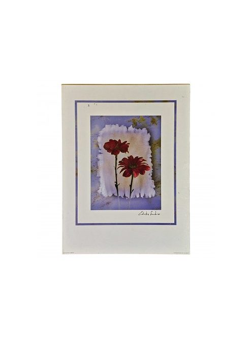 Reprodukció nyomat 30x40cm – E. Sardano