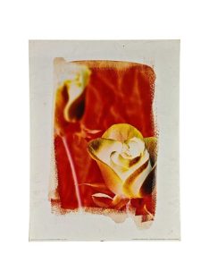 Nyomat 30x40cm – The Colours of Summer