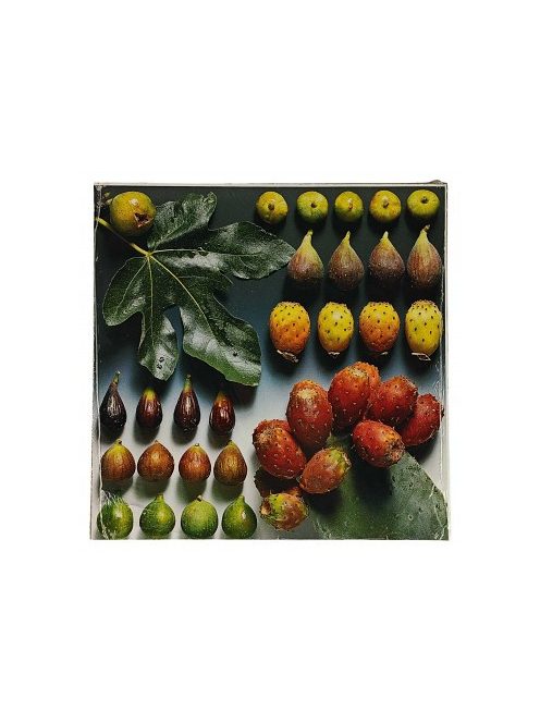 Reprodukció nyomat 28x28cm – Fruit