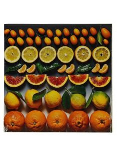 Reprodukció nyomat 28x28cm – Citrus Fruit