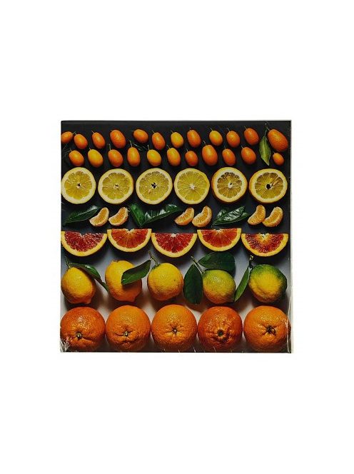 Reprodukció nyomat 28x28cm – Citrus Fruit