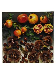 Reprodukció nyomat 28x28cm – Autumn Fruit