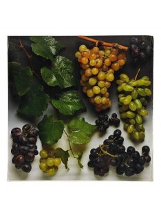 Reprodukció nyomat 28x28cm – Wine