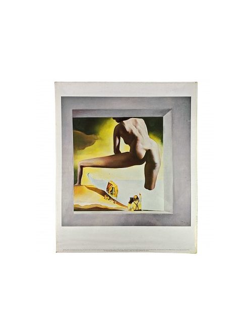 Reprodukció festmény 48x58cm – Dalí lifting the Skin of Mediterranean