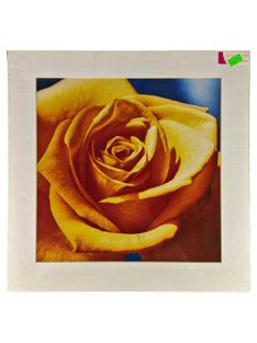 Reprodukció nyomat 40x40cm – Rose