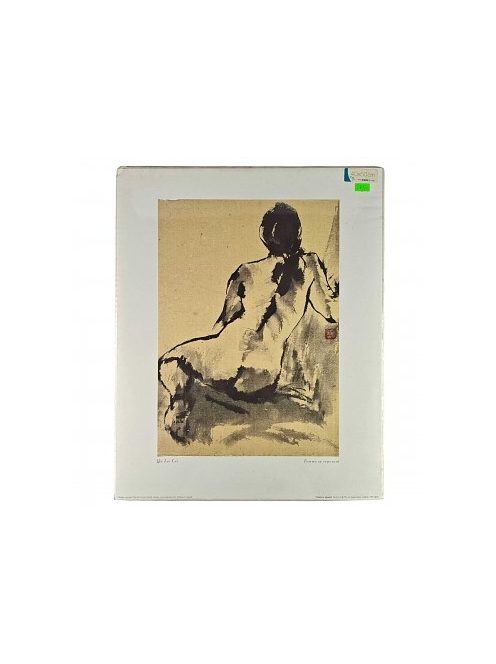 Reprodukció nyomat 40x50cm – Woman resting