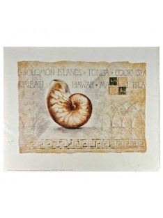 Reprodukció nyomat 40x50cm – Pearlboat