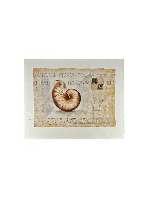 Reprodukció nyomat 40x50cm – Pearlboat