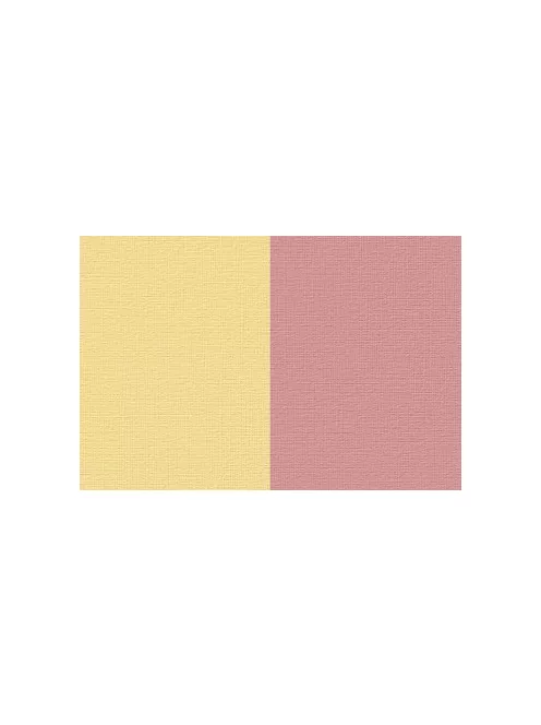 Renesans Akril 100ml  73 Bicolor yellow-red