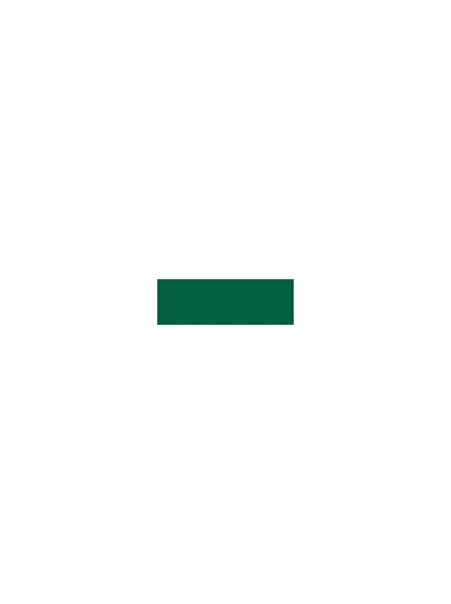 H2Oil printing ink 60ml  05 emerald green
