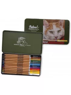 Set coloured pencils Renesans 12 pcs, metal box