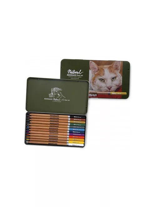 Set coloured pencils Renesans 12 pcs, metal box