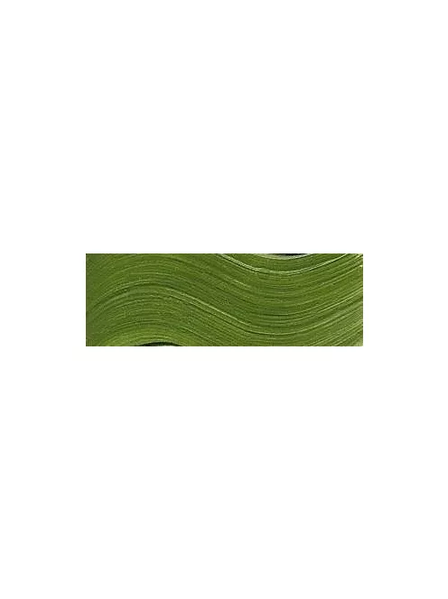 Akril paint MaxiAcril 60ml  48 Chrome green