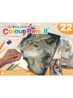   Vadállatos színező számokkal - Színezős ajándékkészlet gyerekeknek, négy színes képpel