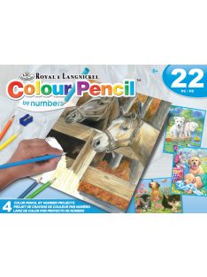   Háziállatos színező számokkal - Színezős ajándékkészlet gyerekeknek, négy színes képpel
