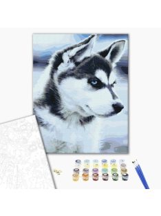 Számozott kifestő készlet vászonra 40x50 cm - Husky kutya kölyök