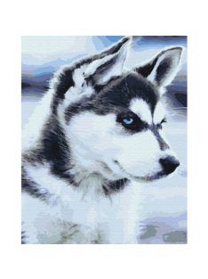 Számozott kifestő készlet vászonra 40x50 cm - Husky kutya kölyök